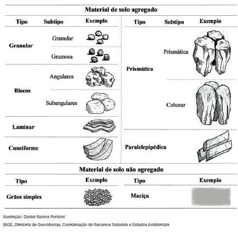 EXEMPLOS DE