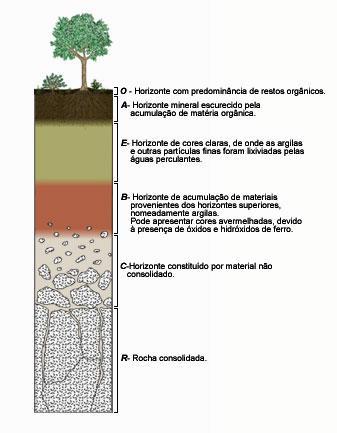 Perfil de Solo - Corresponde a seção vertical