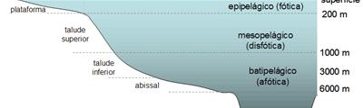 Ecológica Básica dos Oceanos a mais simples separa os