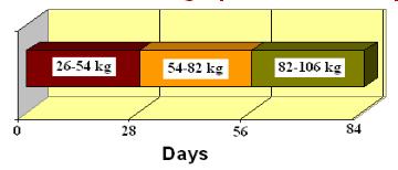 Intervalo de tempo O método dose resposta estima o nível ideal de um nutriente durante um longo período de tempo Dias Definição dos Níveis Nessa fase o acréscimo Os animais do nutriente começam Os