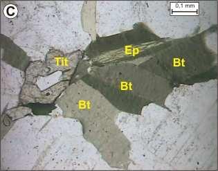 Fotomicrografia B: Cristal de anfibólio (Anf) na sua seção basal,