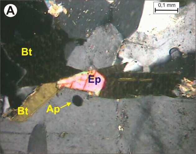 28 Prancha 4.4 Fotomicrografia A: Cristal idiomórfico de epídoto (Ep) associado a biotita (Bt) (nicóis cruzados LSV-11a).