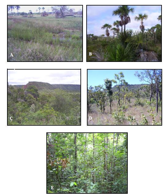 Figura 2. Algumas das principais fitofisionomias do Parque Estadual do Mirador. A-Vereda; B-Campo Úmido; C-Cerrado Típico; D-Chapadões; E-Cerradões.