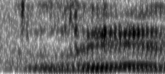 Formant Frequency frequency (Hz) (Hz) Sound pressure level (db/hz) Intensity (db) 110 Figura 6.