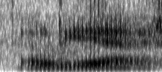 Formant Frequency frequency (Hz) (Hz) Sound pressure level (db/hz) Intensity (db) 113 produção (Figura 8a, 8b).