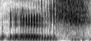 Formant Frequency frequency (Hz) (Hz) Sound pressure level (db/hz) Intensity (db) 165 O detalhamento acústico desses primeiros exemplos (Figuras 13, 14 e 15) revela uma grande variabilidade para os