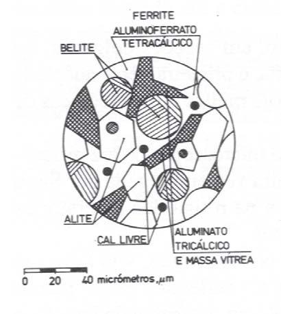 belite (essencialmente silicato bicálcico) cristais mais escuros, arredondados. A fase intersticial (celite, massa vítrea etc.