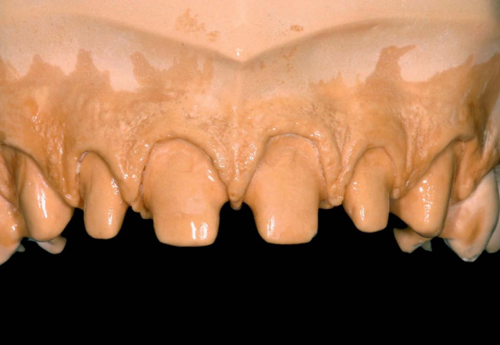 Excelência em Laboratório Rubem Ângelo Righesso Neto* Leonardo ugusto Rachele