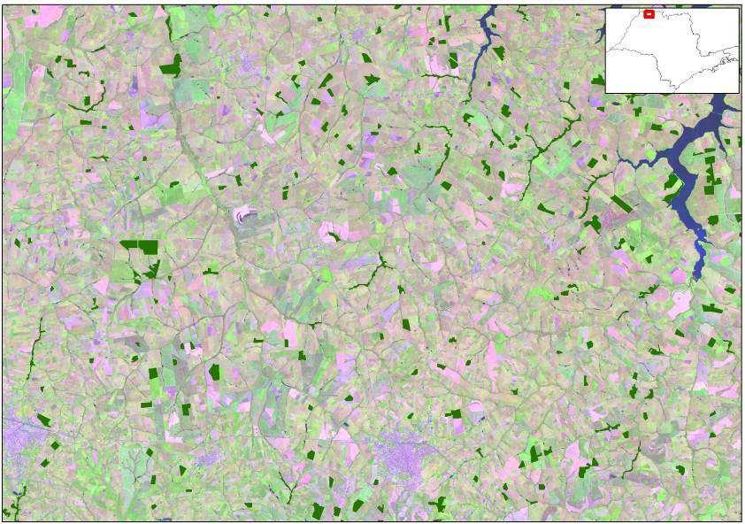 - Vegetação de Várzea Desde a versão anterior do Atlas, o mapeamento inclui a vegetação de várzea e a identificação da mata galeria, mata ciliar,