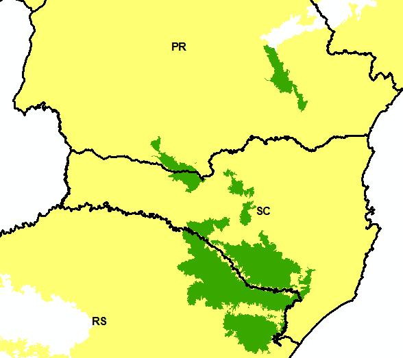 - Áreas de Campos Naturais de Altitude Foram incluídas no Atlas as formações não florestais de campos naturais de altitude que ocorrem no Rio Grande do Sul, Santa Catarina e