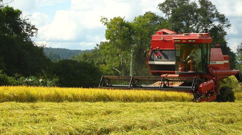 Agronegócio (também chamado de agrobusiness).