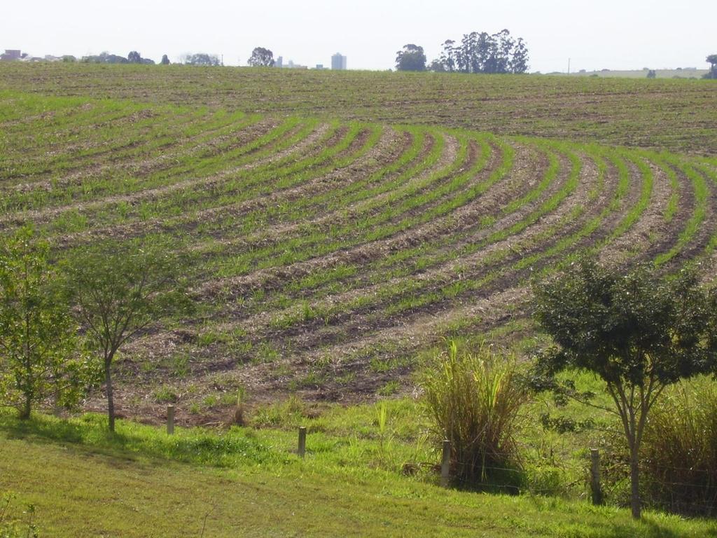 Técnicas Agrícolas.