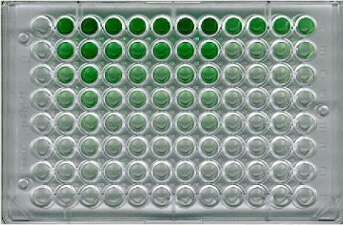 Zika Virus NS1 ELISA Luis Carlos Ferreira Team: Rubens, Robert, Lennon Cor do Substrato