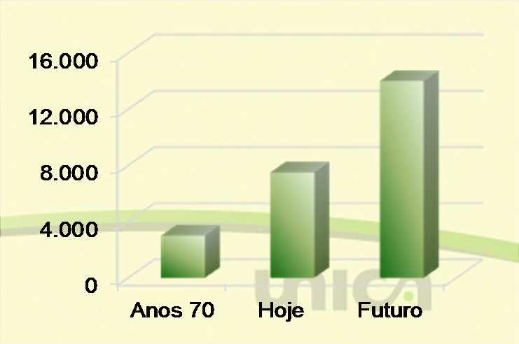 4% Produtividade do Etanol