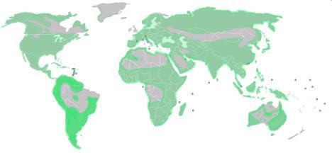 extinções (Pleistoceno, Cretáceo, Permiano com 96%