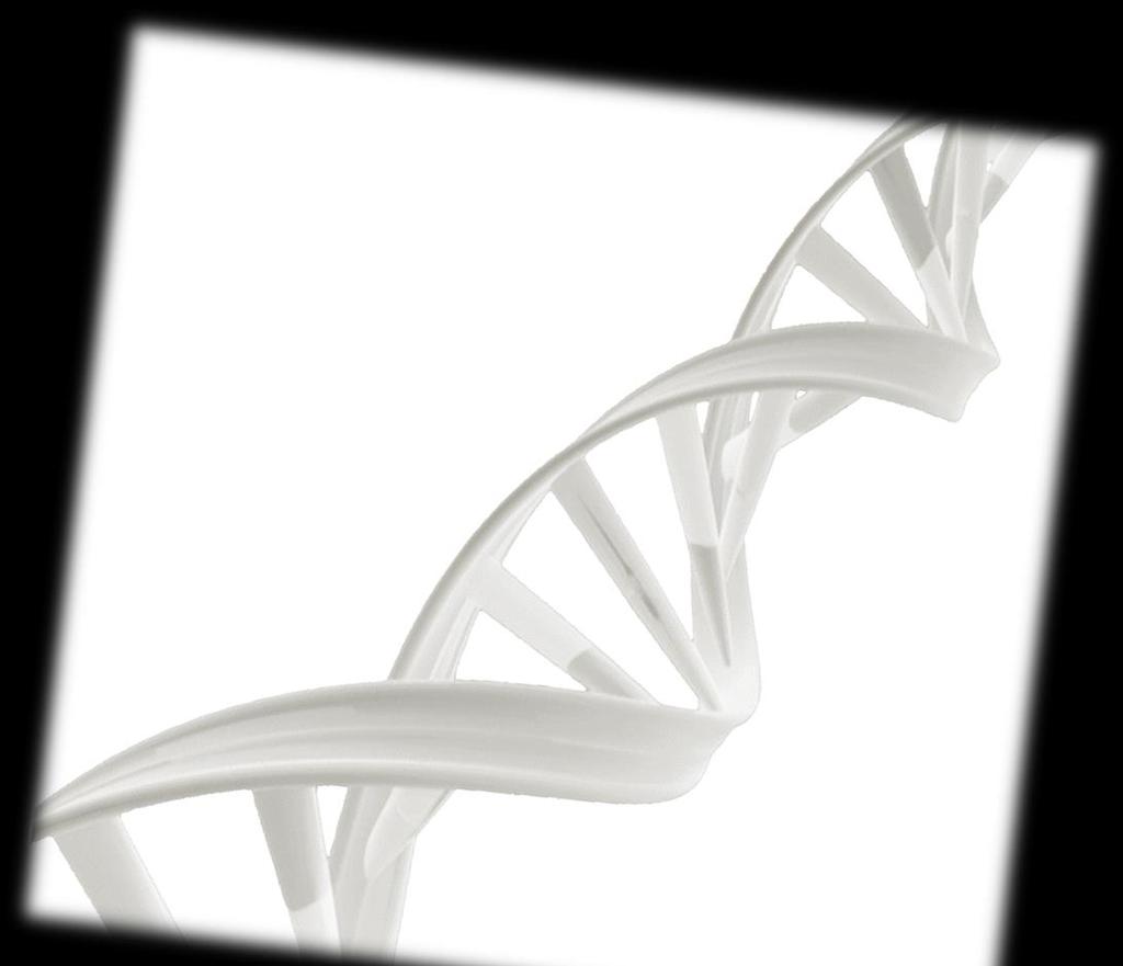 Materiais e Métodos Genotipagem do embrião DNA genômico a partir do