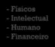 Intelectual - Humano - Financeiro