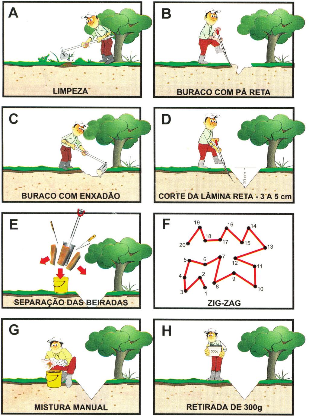 CARTILHA ANÁLISE DE SOLO Figura 5.