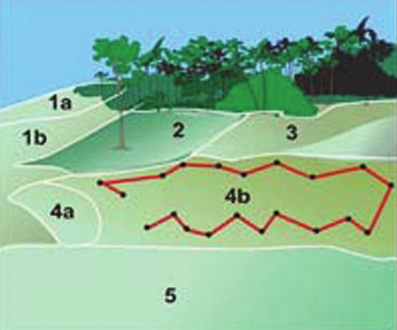 CARTILHA ANÁLISE DE SOLO (1b); a gleba 2, uma encosta mais suave, usada esporadicamente com agricultura; a gleba 3, pastagem no sopé da encosta; a gleba 4 constitui-se de área de relevo