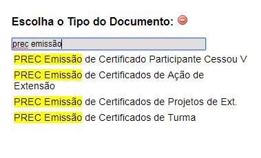 12) Clicar em Incluir documento Clicar no para exibir todos os tipos de documento.