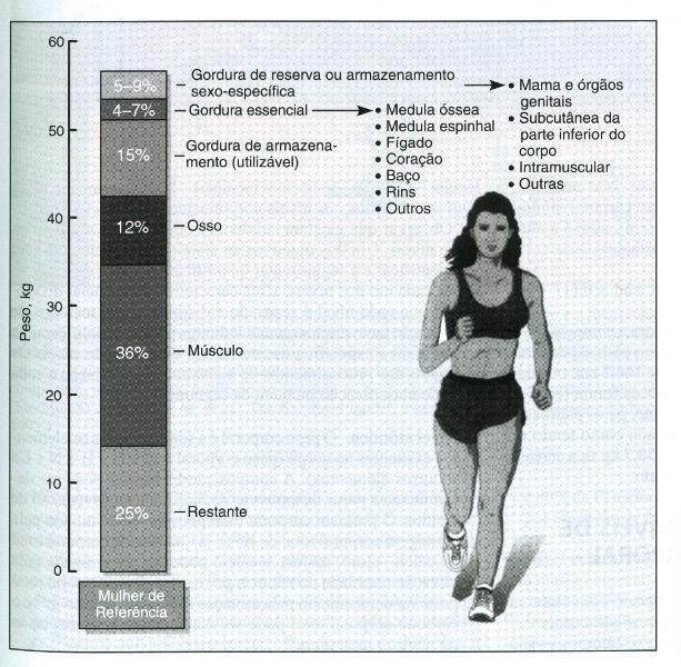 AVALIAÇÃO DA COMPOSIÇÃO CORPORAL MULHERES: Gordura sexo-específica PRINCIPAIS ACHADOS Gênero: atletas femininas Nutrientes: Ferro; zinco;