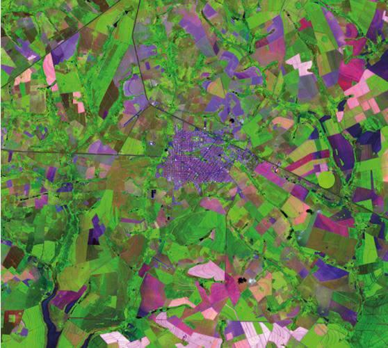 Figura 6 - Na imagem do satélite Landsat, fornecida pelo Inpe, região agrícola ao redor da