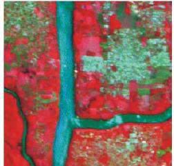 Nestas duas figuras é possível observar áreas de mata (verde escuro na figura 8 e vermelho na figura 9), áreas urbanas em tonalidades claras
