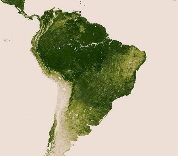 Figura - Área de vegetação existente no Brasil entre
