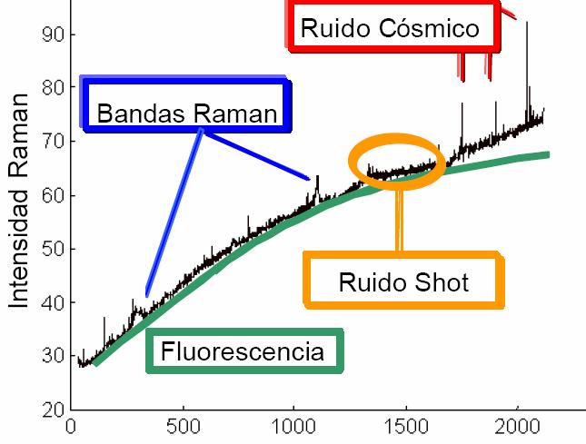 45 Deslocamento Raman (cm -1 ) Figura 18- Principais ruídos na espectroscopia Raman [66] 3.2.