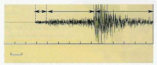 As ondas P são as mais velozes, pelo que são as primeiras a serem registadas. As ondas S são menos rápidas que as P, mas mais destruidoras.