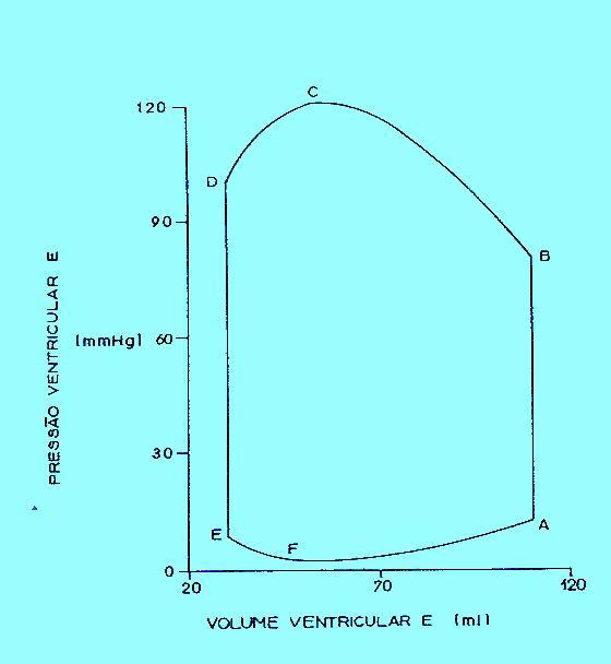 CICLO CARDÍACO AB contração isovolumétrica BC ejeção rápida CD ejeção