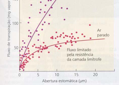 ..maior a perda de água