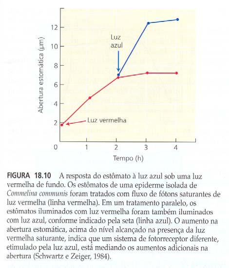 A difusão vai depender da