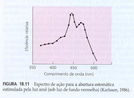 potencial hídrico é