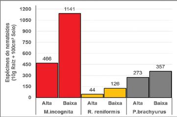 Pág. 05 Levantamento e Manejo de Fitonematoides em Algodoeiro no Oeste da Bahia: Resustados 1: Safra 2016/17 dados são preliminares e terão melhor representabilidade no levantamento, com um maior