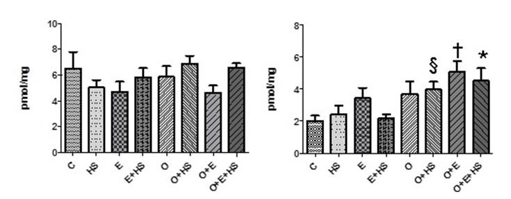 Figura 2-Análise da atividade da enzima Catalase (CAT) no tecido musculoesquelético gastrocnêmio (2A) e sóleo (2B) de ratos obesos submetidos agudamente à terapia de choque térmico associado ao