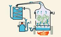 Paulo Roberto 17 Métodos de obtenção: destilação por arraste de vapor hidrodestilação
