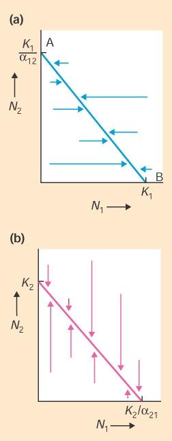 Destino de uma interação competitiva Resultados possíveis de acordo com o modelo de Lotka-Volterra Espécie Espécies e em interação K α N K K α K K < K α K > K β N K K K α K > K α