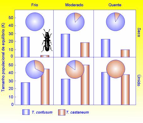 Efeito de outros fatores do ambiente na competição Fatores abióticos e/ou outras interações podem influenciar os resultados de uma interação competitiva Espécies de besouros do gênero Tribolium : T.