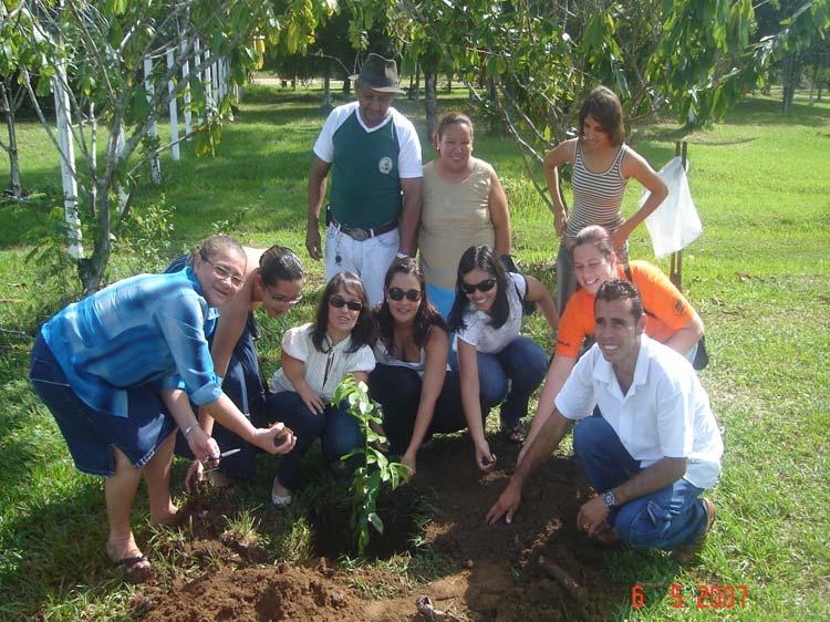 .. NORTE: Plantando