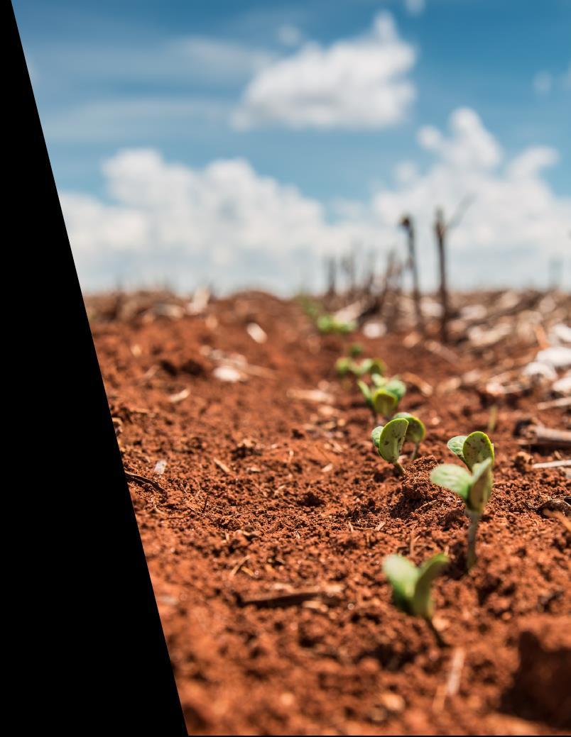 GERENCIAMENTO de riscos de clima POSIÇÃO GEOGRÁFICA As Fazendas da SLC Agrícola são distribuídas em estados