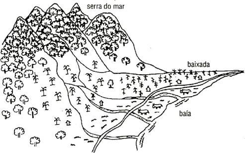 2. Sabendo que a Paisagem Geográfica é definida pela Geografia como o domínio do visível e que ela é formada por elementos naturais e