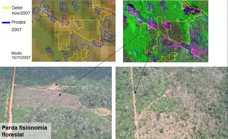 Coordenadas: S 12,39º; W 54,43º DESCRIÇÃO PONTO 203 Classificação: Corte Raso com Degradação l - Perda da Cobertura l estrada e estrada e solo estrada e estrada e estrada e solo solo exposto exposto