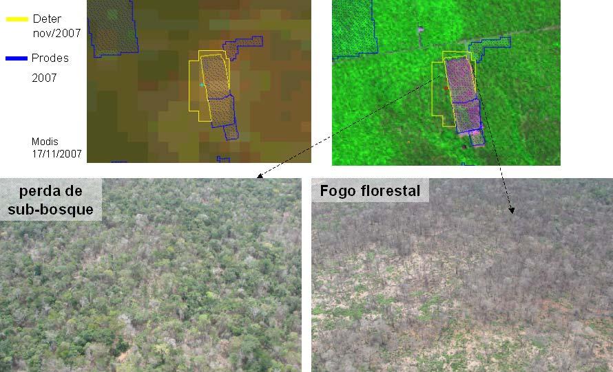 Coordenadas: S 12,46º; W 54,85º DESCRIÇÃO PONTO 187 Classificação: Degradação l - Intensidade Alta (Perda da Cobertura l) Regeneração