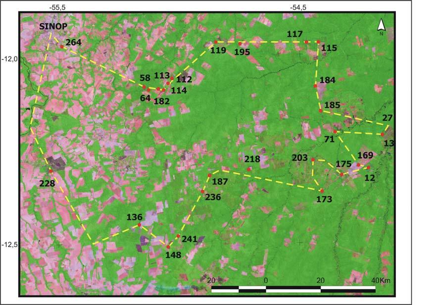 DETECÇÃO DO DESMATAMENTO VERIFICAÇÃO DE CAMPO, DADOS