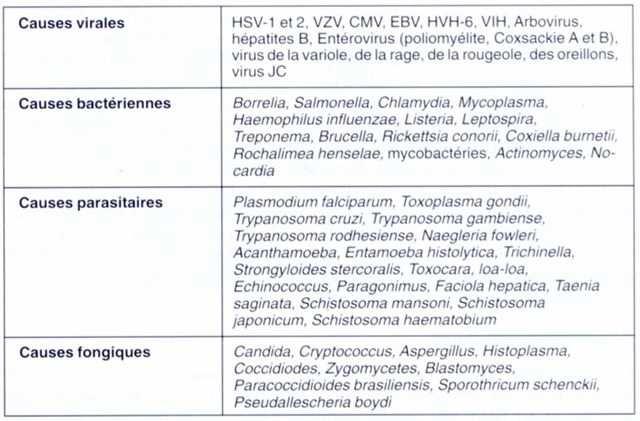 Etiologia das meningo-encefalites Meningo-encefalites VIRAIS agudas e sub-agudas Herpes simples tipo 1 1/3 em menores de 20 anos Em seguida à primo-infecção (bulbo olfatório) Reativação do vírus :