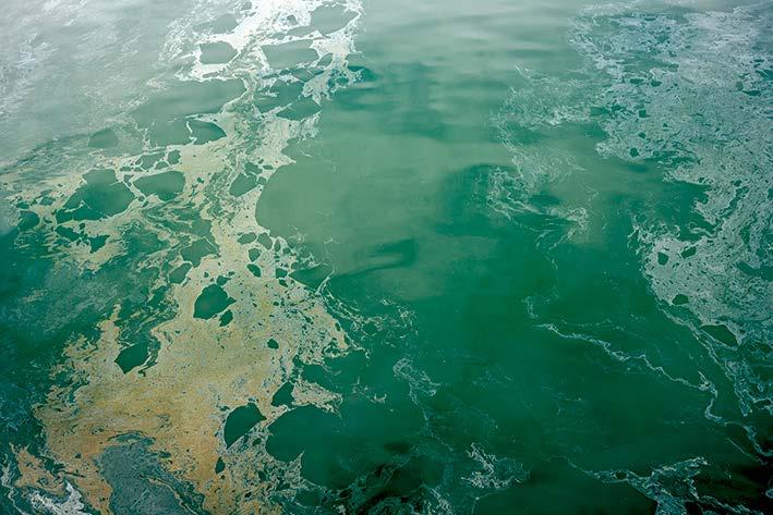 A POLUIÇÃO OCULTA Polímeros menos conhecidos derivados de petróleo estão escondidos em cosméticos. Esses materiais escoam pelo ralo quando nos lavamos e chegam aos rios, lagos e oceanos.