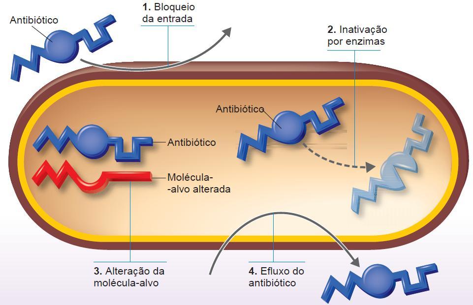 Mecanismos de resistência aos