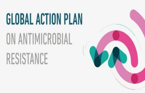 Plano de Ação Global - WHO O mundo está caminhando para uma era pósantibiótico em que infecções consideradas comuns poderiam matar novamente.
