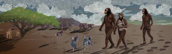 ereta: bipedalismo Australopitecíneos: > 4 milhões de anos atrás Esta é a